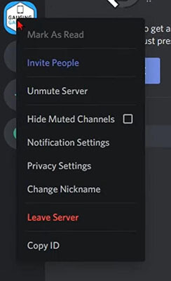Copy discord server id