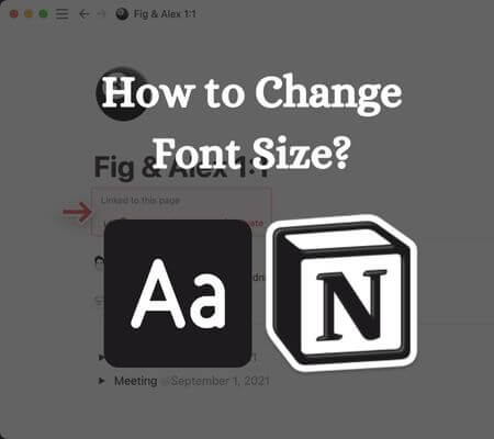 how to change font on notion