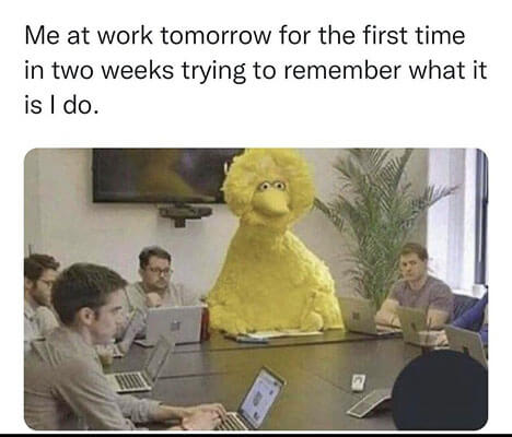 remote work meme 1
