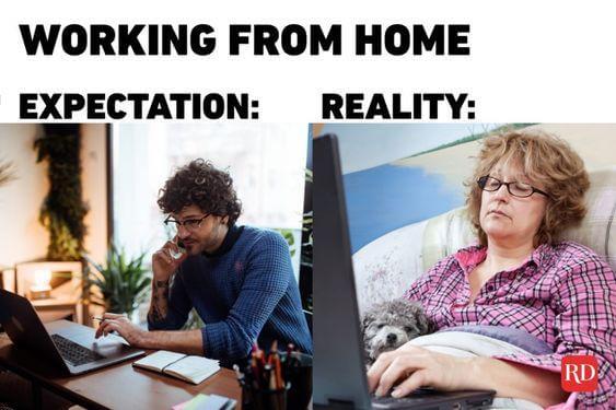 remote working memes 25