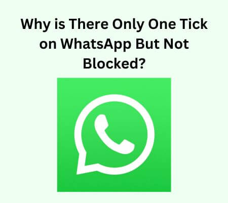 one tick for whatsapp