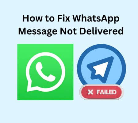 whatsapp message not delivered